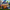 Clash Royale